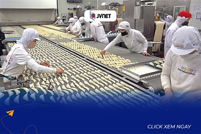 6 điều cấm kỵ khi làm việc ở Nhật – Thực tập sinh cần nhớ 
